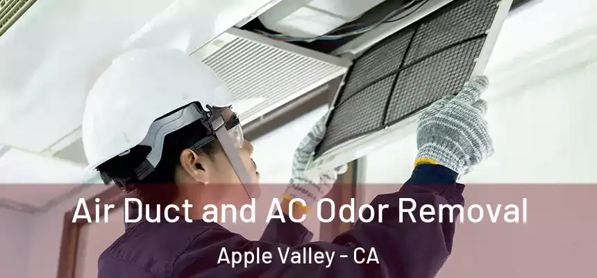 Air Duct and AC Odor Removal Apple Valley - CA
