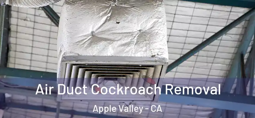 Air Duct Cockroach Removal Apple Valley - CA