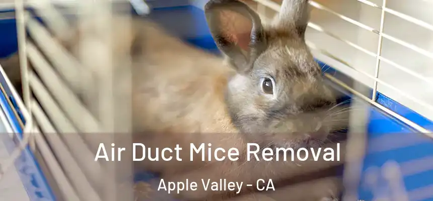 Air Duct Mice Removal Apple Valley - CA