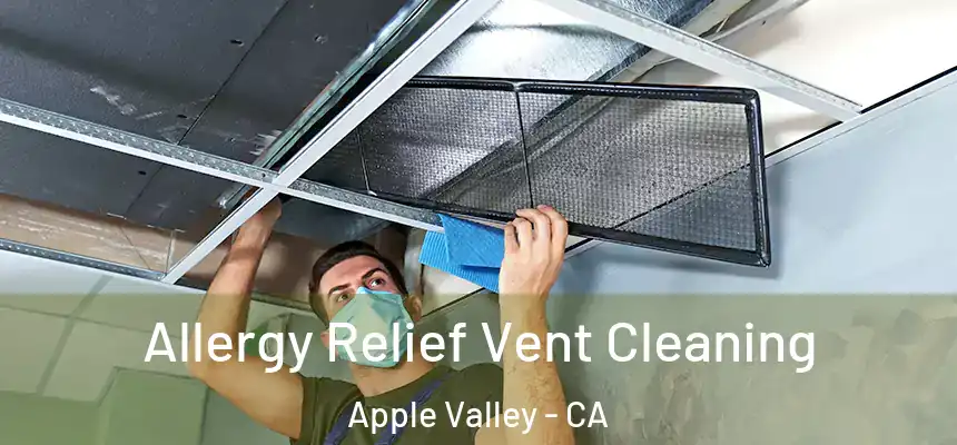 Allergy Relief Vent Cleaning Apple Valley - CA