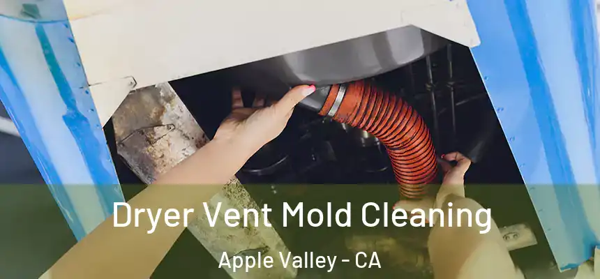 Dryer Vent Mold Cleaning Apple Valley - CA