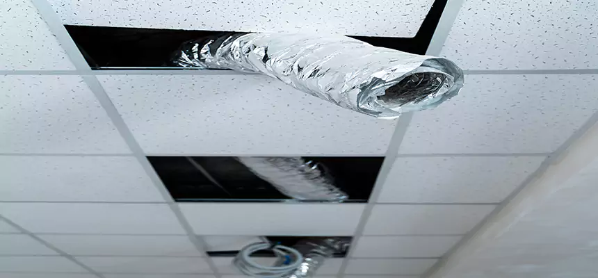 Affordable HVAC Sanitizing After Pest Removal in Apple Valley