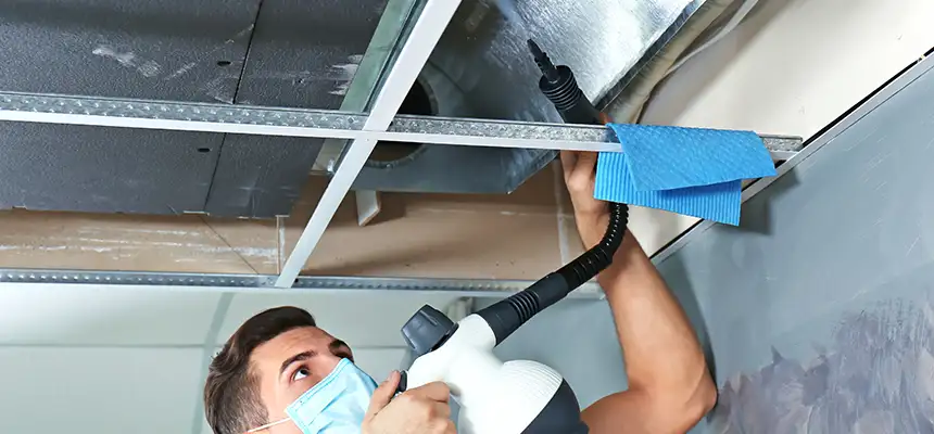 Our Air Duct Rodent Removal Services in Apple Valley, CA