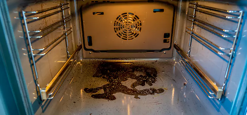 Our Dryer Vent Mold Cleaning Services in Apple Valley, CA