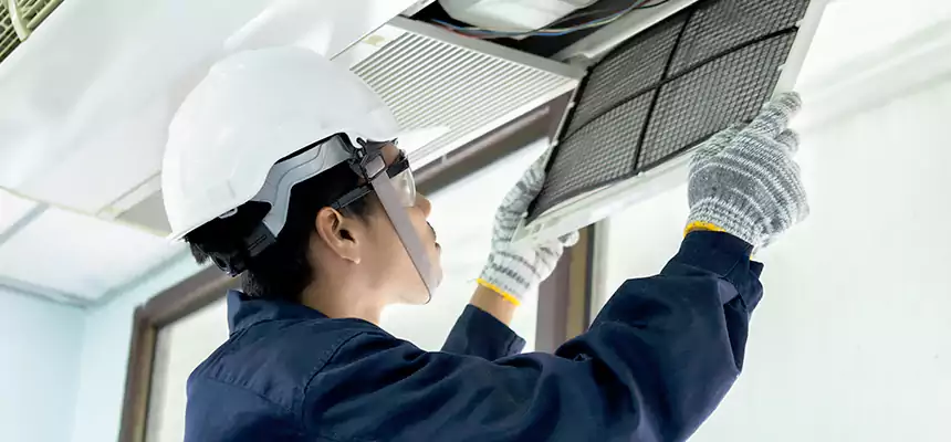 Our Mold & Mildew Removal from Air Ducts Services in Apple Valley, CA