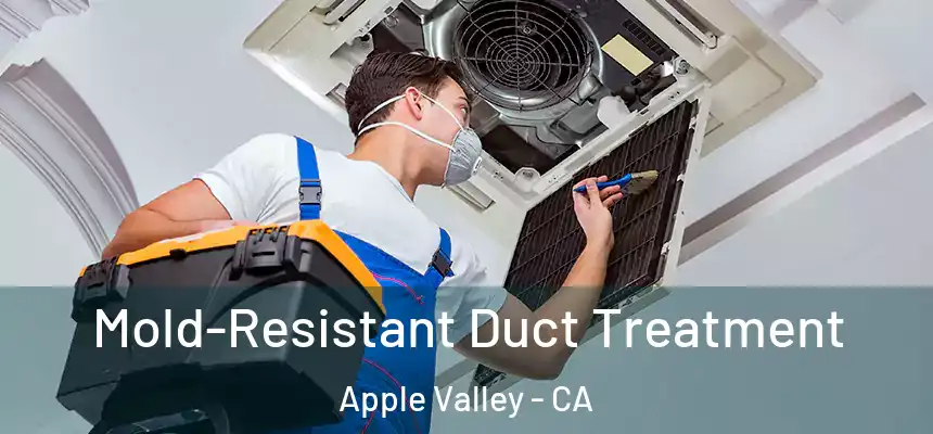 Mold-Resistant Duct Treatment Apple Valley - CA