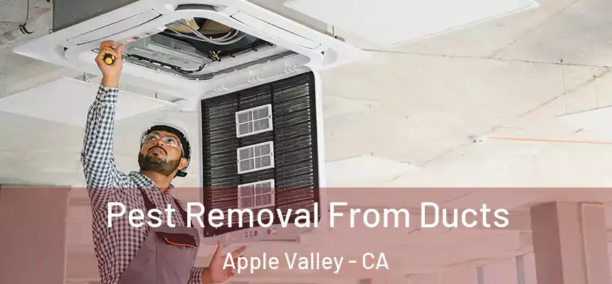 Pest Removal From Ducts Apple Valley - CA