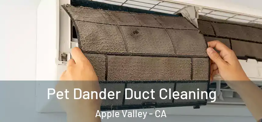 Pet Dander Duct Cleaning Apple Valley - CA