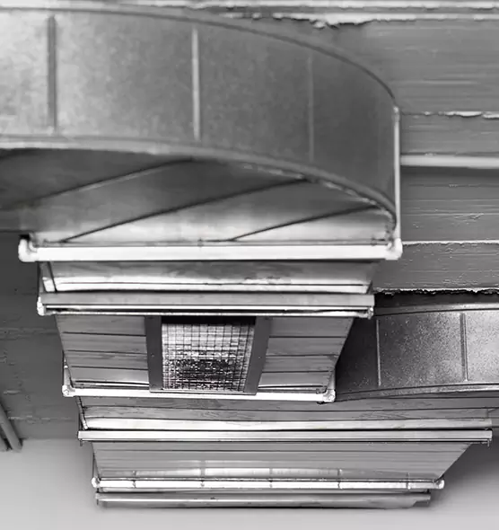 Professional Air Duct Pet Hair Removal in Apple Valley, CA