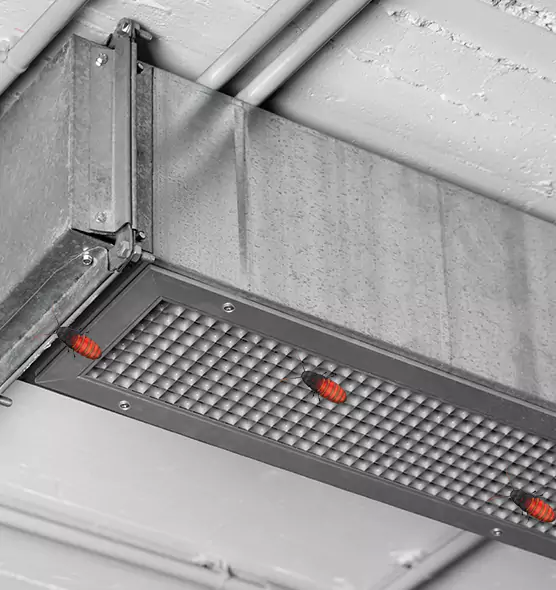 Affordable Insect Removal from Air Ducts in Apple Valley, CA