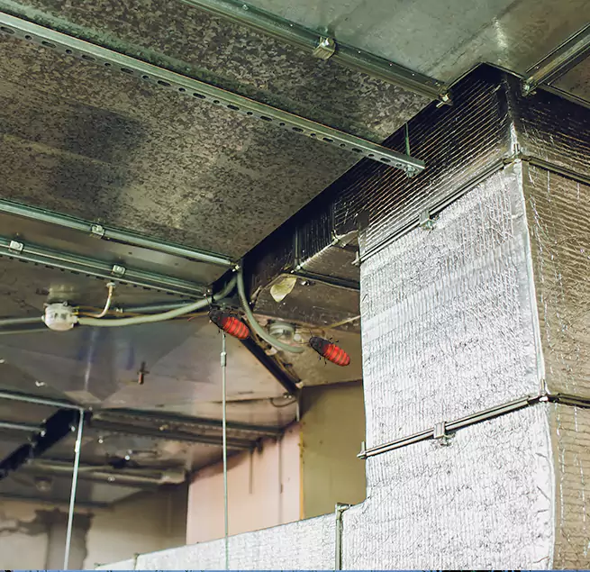 Why Homeowners & Businesses Trust Us in Apple Valley, CA?