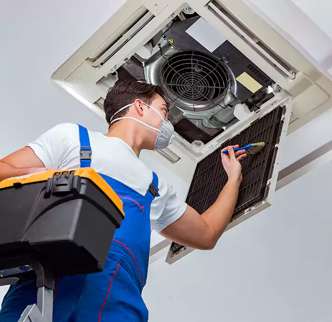 Why Homeowners & Businesses Trust Us in Apple Valley, CA?